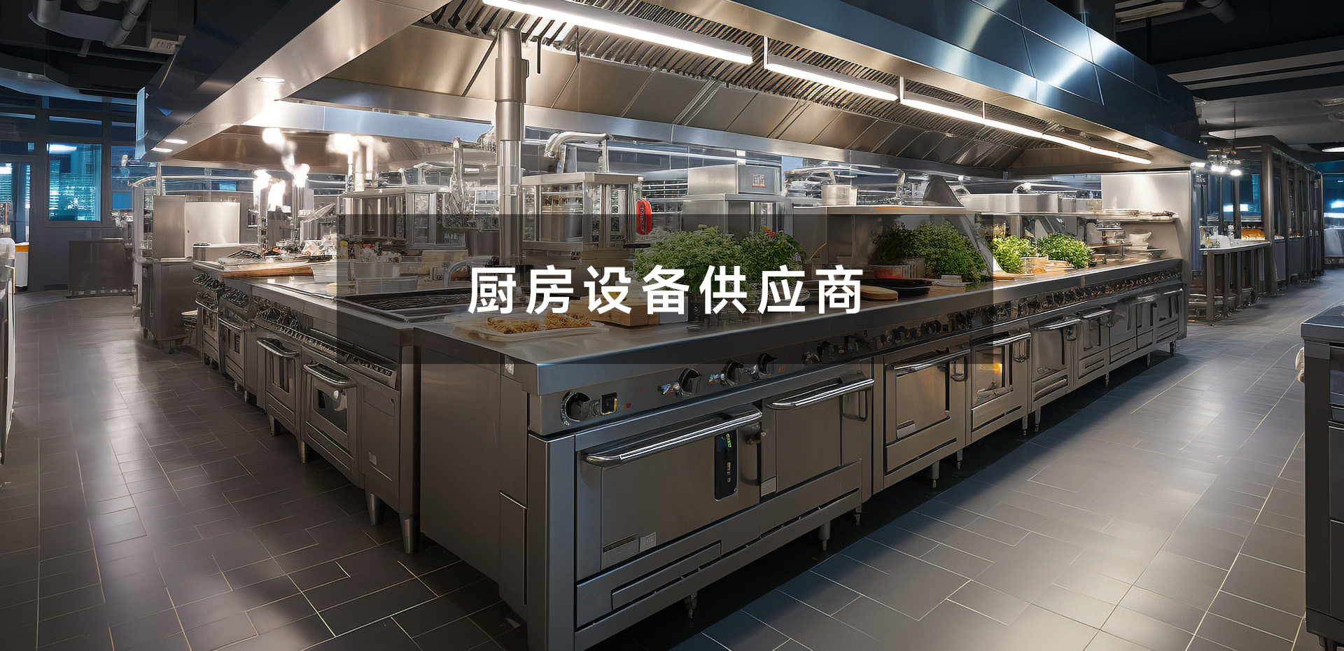 浙江湖人厨房设备有限公司
